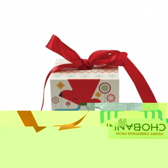 Christmas Magnetic Lock Gift Box